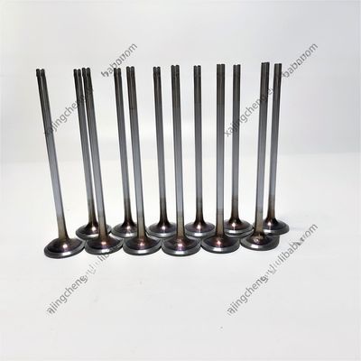 Cummins 6BT ISB válvulas de admisión y escape del motor diseñadas para cabezas de cilindro 1989-1996